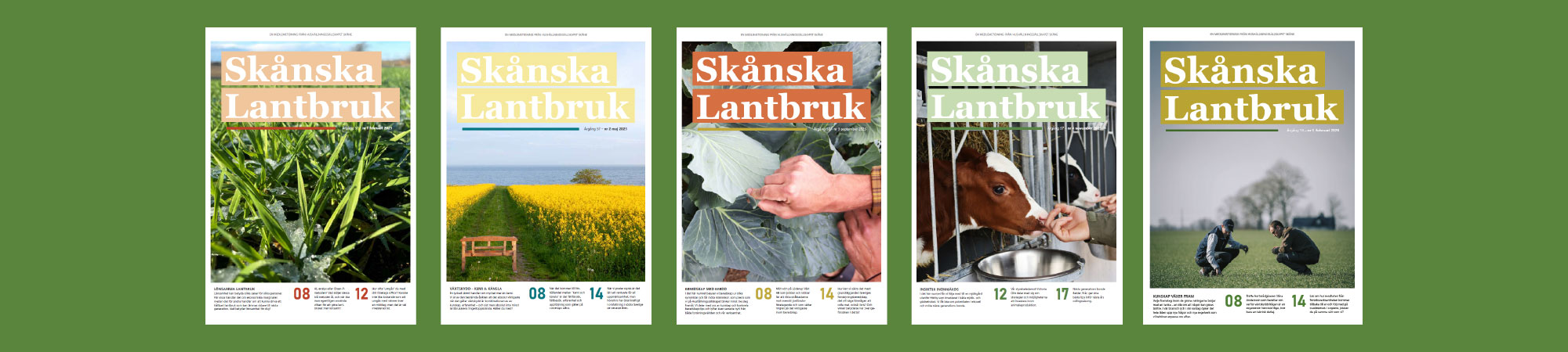 Fem omslag av tidningen ”Skånska Lantbruk” visas i rad mot grön bakgrund, med motiv av grödor, rapsfält, händer som inspekterar kålblad, kalvar i stall och två personer som arbetar på en åker.
