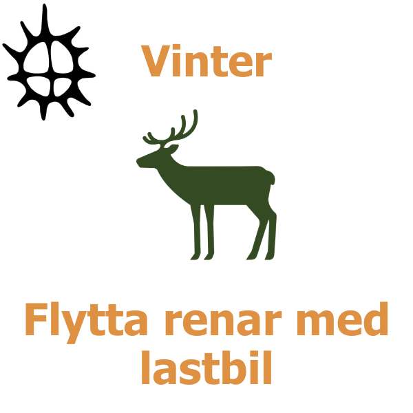 Skylt med en grön siluett av en ren i mitten och en svart solsymbol uppe till vänster. Texten lyder: “Vinter” samt “Flytta renar med lastbil”, på vit bakgrund.