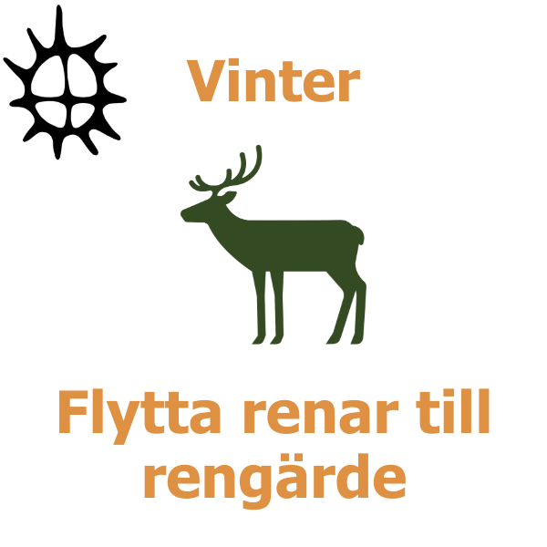 Grön siluett av en ren står i mitten under rubriken ”Vinter”, med en svart solsymbol till vänster. Texten ”Flytta renar till rengärde” anger en vinteraktivitet att samla och flytta renar.
