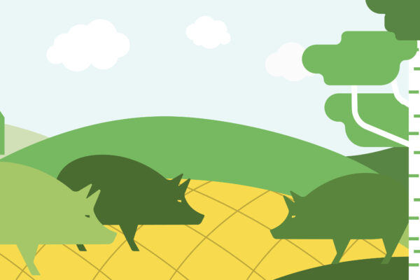 Tre glada utegrisar betar och nosar i en hage, med gröna kullar och ett gult markmönster. I bakgrunden syns en lada till vänster, björkar till höger och vita moln på himlen.