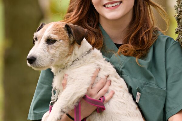En kvinna i gröna djurvårdskläder håller en liten vit och brun terrier i famnen. Hunden tittar åt sidan med koppel och rosa sele, medan kvinnan ler; suddig grön bakgrund utomhus.