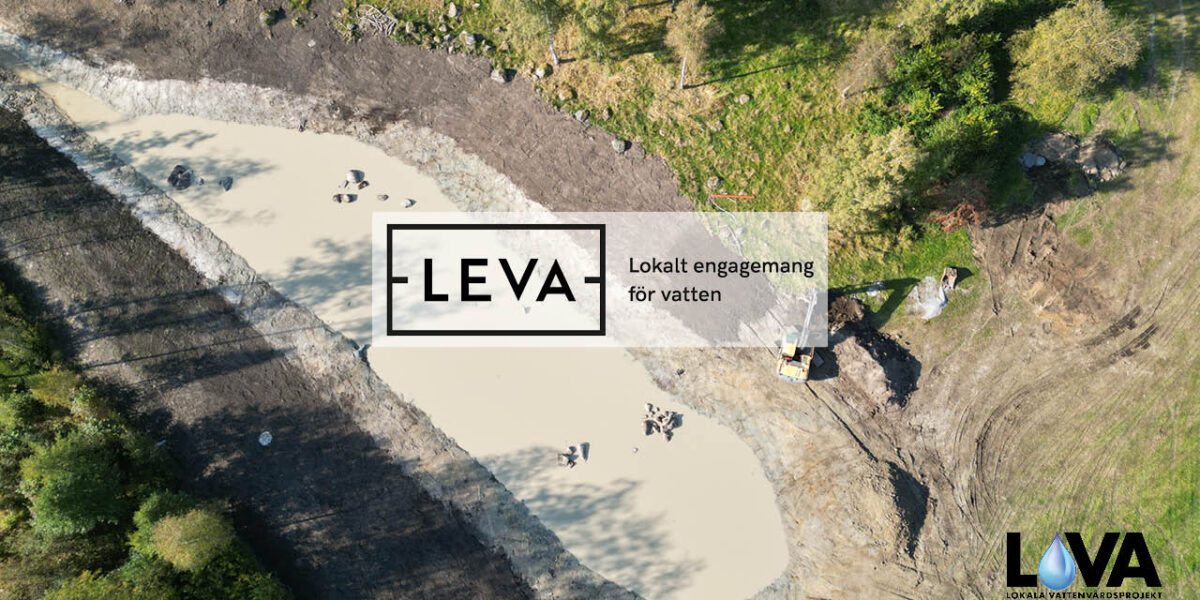 Flygfoto av nyanlagd våtmark i jordbrukslandskapet i Halland som åtgärd mot övergödning