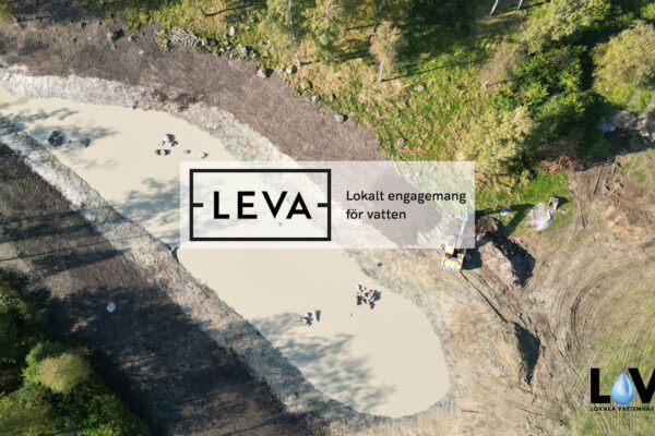 Flygfoto av nyanlagd våtmark i jordbrukslandskapet i Halland som åtgärd mot övergödning