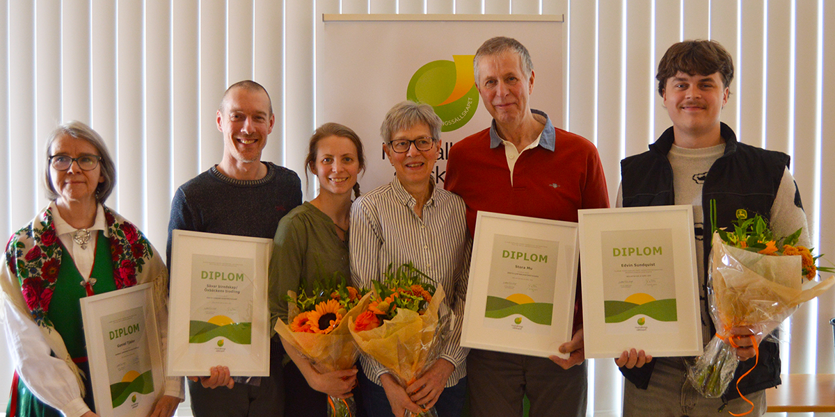 Sex personer står uppradade och ler vid en prisutdelning, håller inramade diplom och blombuketter. Diplomtexten visar rubriken ”DIPLOM”. I bakgrunden syns en rollup med logotyp samt persienner framför fönster.