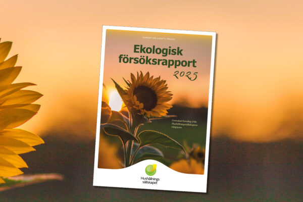 Omslag till rapport med solros i motljus vid solnedgång. Text: ”KUNSKAP FÖR LANDETS FRAMTID”, ”Ekologisk försöksrapport 2025”, ”Granskad kunskap från Hushållningssällskapens rådgivare.” samt ”Hushållningssällskapet” med logotyp.