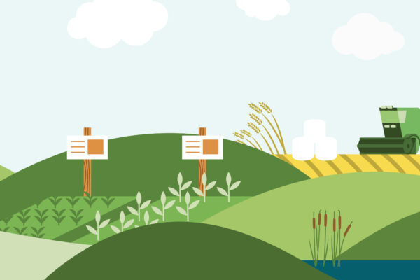 Illustrerad lantlig scen där en grön skördetröska kör på ett gult fält, med gröna kullar, växande plantor och två informationsskyltar. I förgrunden syns en damm med vass under ljus himmel.