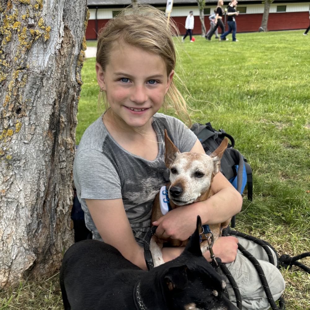 Leende flicka sitter på gräset intill en trädstam och kramar en liten hund i sele och koppel. En svart hund ligger i förgrunden; i bakgrunden syns en gräsmatta och människor som går.