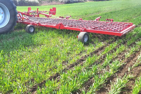 Röd ogräsharv kopplad till en traktor står på en grön åker med spirande gröda. Harven med flera hjul och ett galler av pinnar ligger över marken, redo för fältbearbetning. Text: “HORSCH”.