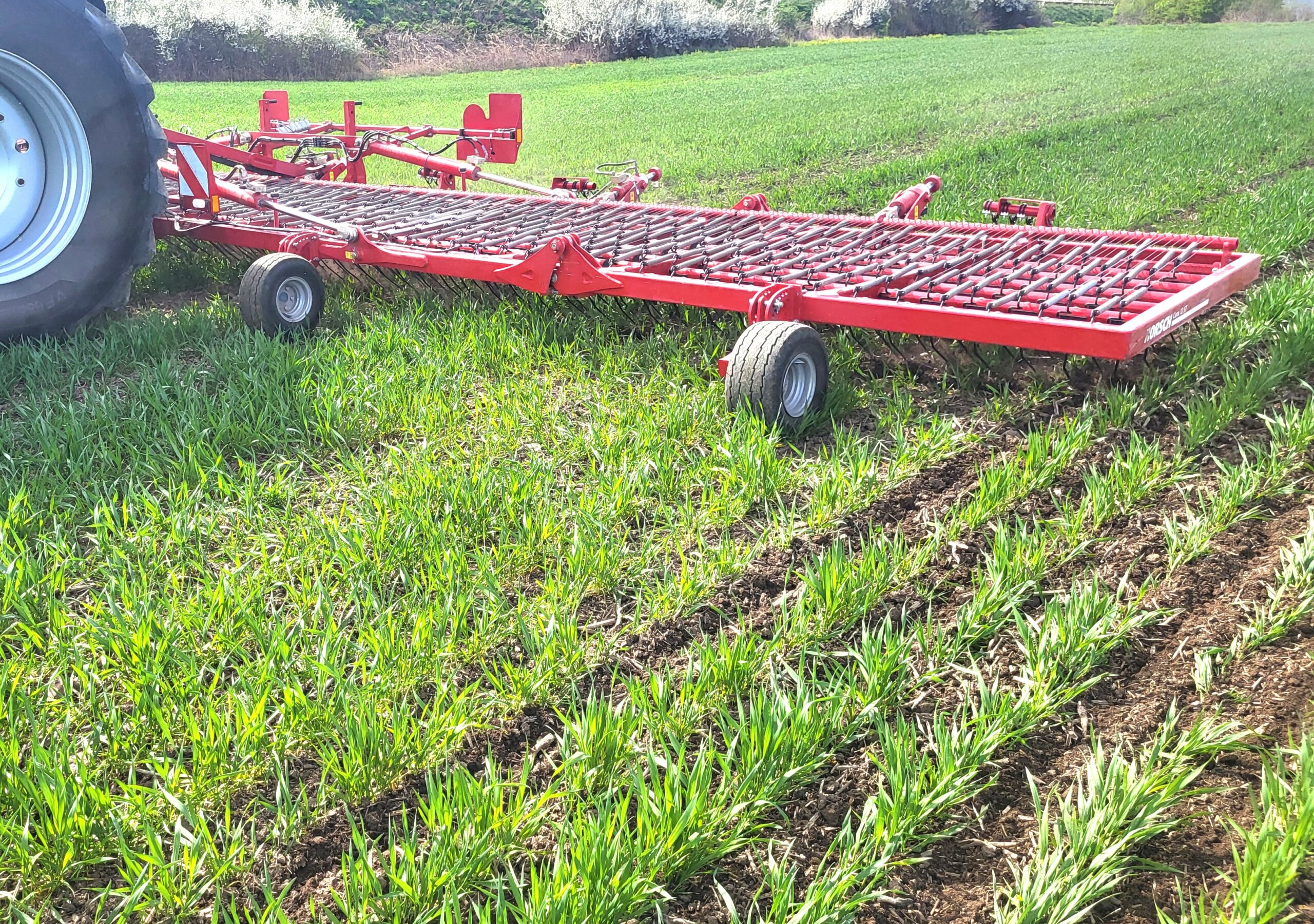 Röd ogräsharv kopplad till en traktor står på en grön åker med spirande gröda. Harven med flera hjul och ett galler av pinnar ligger över marken, redo för fältbearbetning. Text: “HORSCH”.