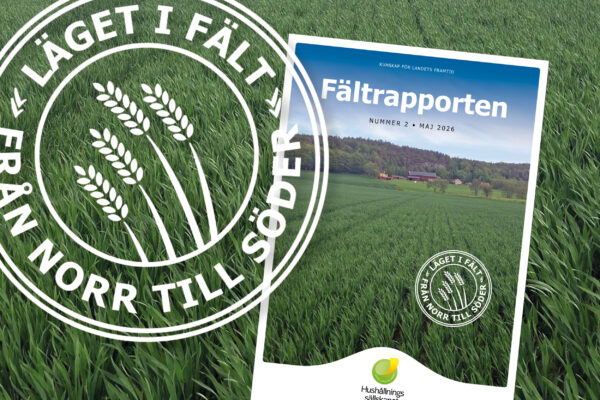 Magazine cover titled “Fältrapporten” (KUNSKAP FÖR LANDETS FRAMTID, NUMMER 2 • MAJ 2026) lies on a green crop field, showing a farm landscape; a large stamp reads “LÄGET I FÄLT FRÅN NORR TILL SÖDER.”