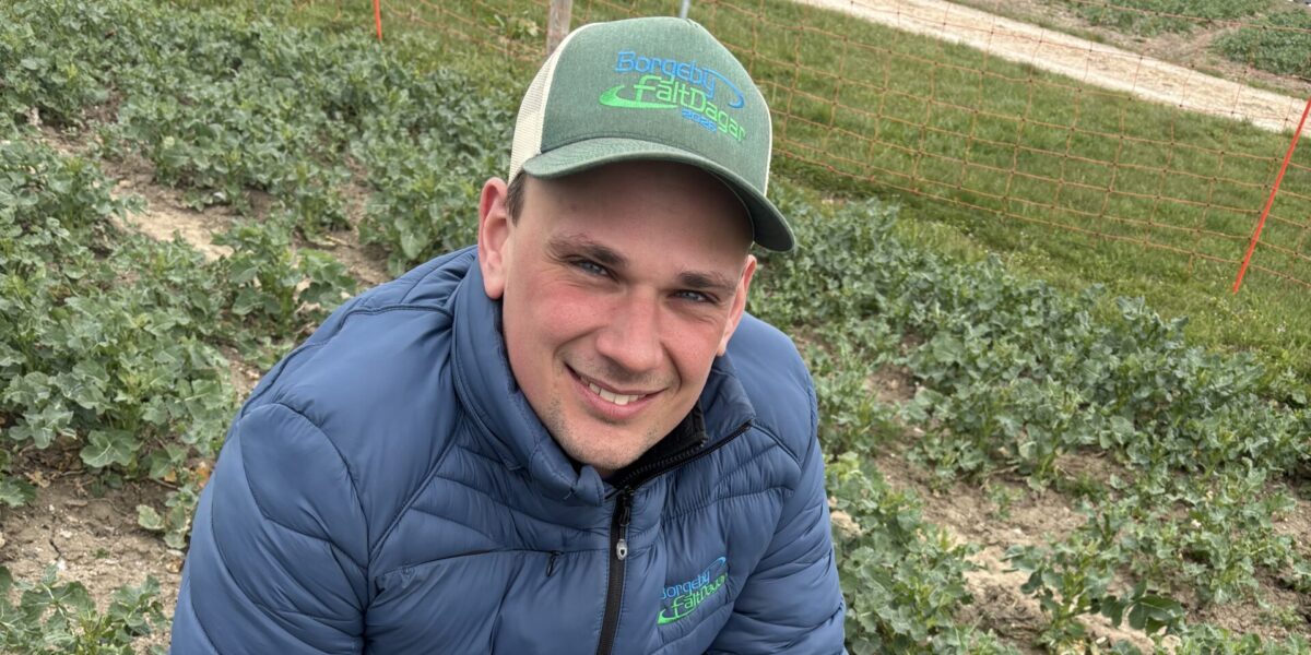 Leende man i blå vadderad jacka och grön keps med texten ”Borgaby Fältdagar 2023-09” hukar i en odling och tittar mot kameran; runt honom syns rader av gröna plantor och ett orange nätstaket.