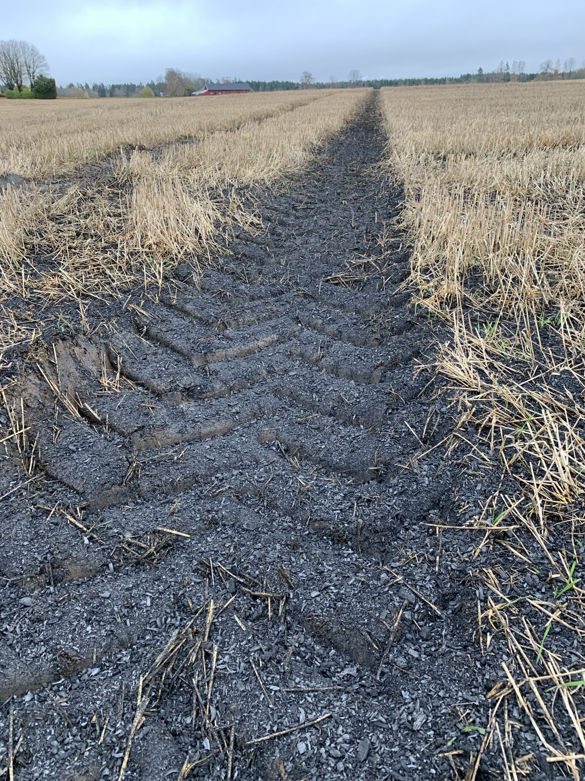 Muddy tire tracks cut a dark path through a harvested field of dry straw, leading toward a distant red barn and tree line under an overcast sky, suggesting recent farm vehicle traffic across the wet ground.