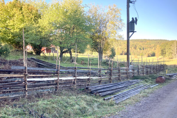 Nygångärdesgård av späntade störar och slanor löper längs en grusväg, med extra virke staplat på marken. I bakgrunden syns träd, en röd byggnad och öppna fält med skogklädda kullar.