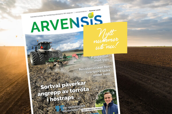 Omslag till tidningen ARVENSIS (Nummer 3 2026) visar en traktor som bearbetar en åker; text: “Nytt nummer ute nu!”, “Sortval påverkar angrepp av torröta i höstraps”, “P-potential med gips”, “Resistensrisken hos svartpricksjuka under lupp”.