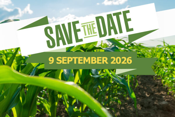 Banner med Save The Date på en bild med majs i fält.