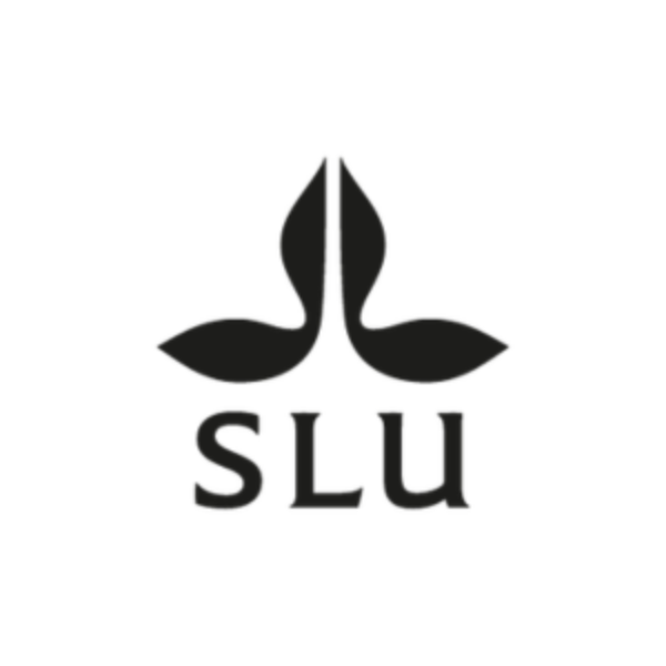 Svart SLU-logotyp med stiliserade blad och en uppåtriktad form ovanför texten ”SLU”, centrerad mot vit bakgrund. Minimalistisk grafisk symbol som representerar Sveriges lantbruksuniversitet.