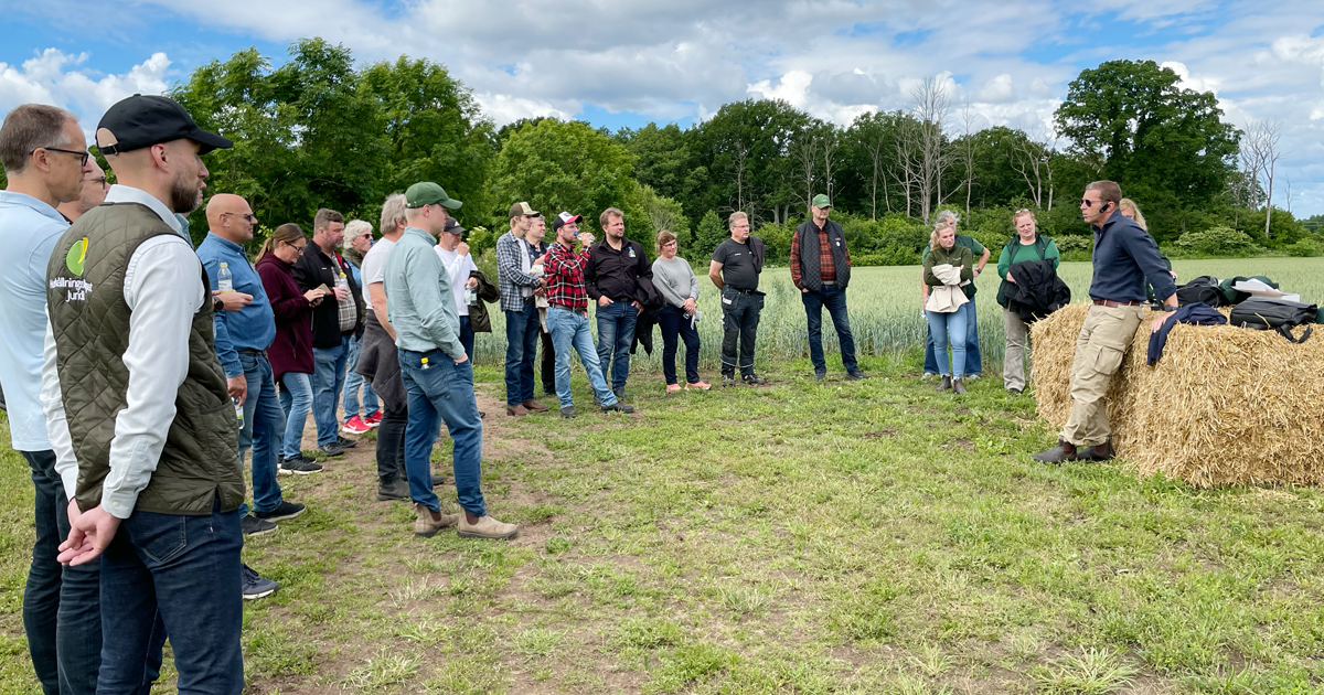 grupp med deltagare på Torslunda Grovfoderdag som lyssnar på en av föreläsarna vid en av stationerna.