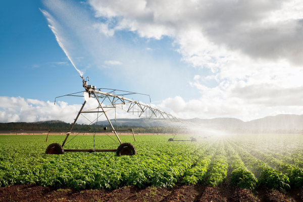 Large center-pivot irrigation sprinkler sprays a fine mist across rows of green crops, stretching over a wide field. Sunlight breaks through clouds, creating bright haze near the water spray, with low hills in the background.