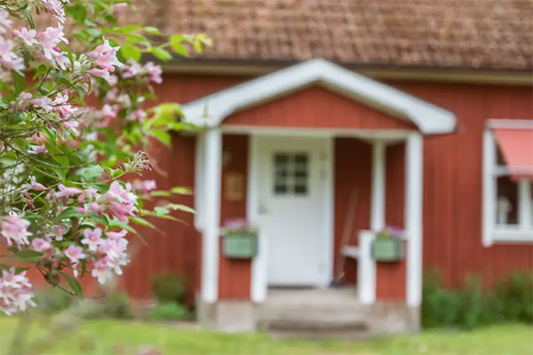 Rött trähus med vit farstukvist och stängd ytterdörr står i bakgrunden, lätt ur fokus. I förgrunden blommar en gren med rosa blommor som ramar in entrén och ger en lantlig trädgårdskänsla.