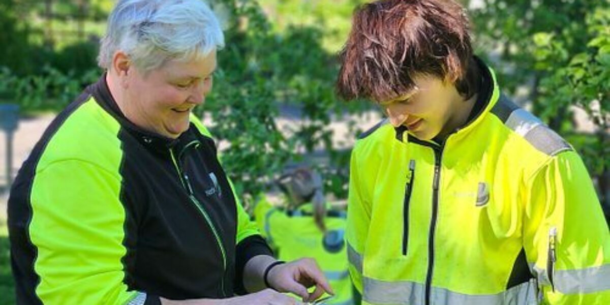 Två personer i fluorescerande arbetskläder granskar ett föremål i händerna och pratar. De står i en grön parkträdgård med buskar och ett växthus i bakgrunden, medan en tredje person syns suddigt längre bort.
