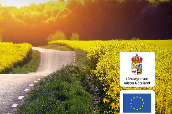 Sunlit country road curves through bright yellow rapeseed fields toward a tree line at sunset. Logos at right read “Länsstyrelsen Västra Götaland” and “Medfinansieras av Europeiska unionen” beneath the EU flag.