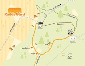 Illustrated trail map at RåddeGård shows an orange walking route from “START” at “INFOTAVLA” to “MÅL,” passing “Grusvägen” and “Älgstigen,” with nearby labels “HOFSNÄS,” “Stefans stig,” “Långhem,” “Ljungbacken,” “Torget,” and “RASTPLATS GRILLSTUGA.”