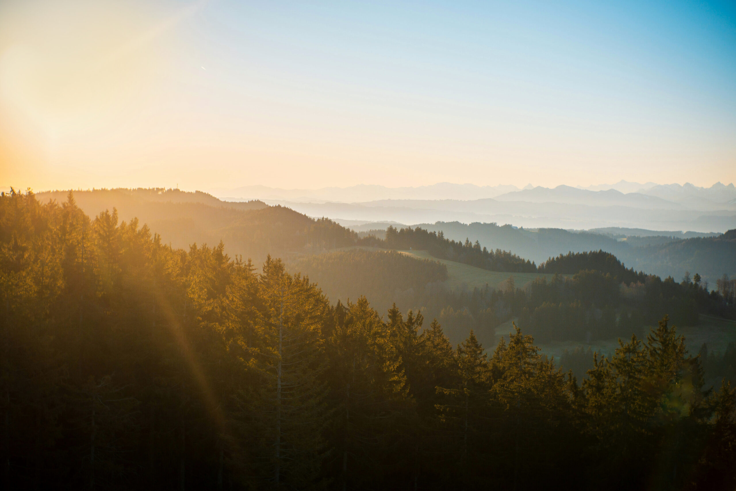 Sunlight spills over a pine-covered hillside, illuminating treetops with warm golden haze. Beyond the foreground forest, layered hills and distant mountain ridgelines fade into mist under a pale blue morning sky.