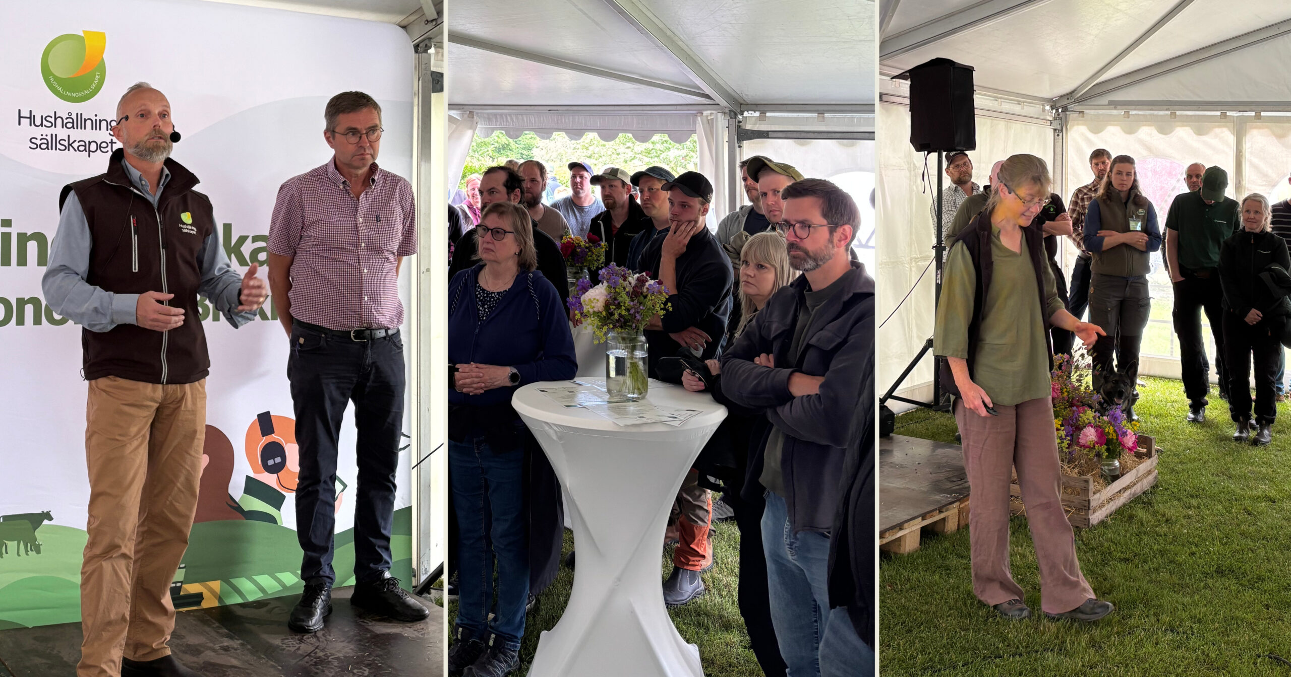 Kollage av tre bilder från Torslunda Grovfoderdag där bland annat Paul Robertson, vd Hushållningssällskapet Kalmar Kronoberg Blekinge talar inför åhörarna.