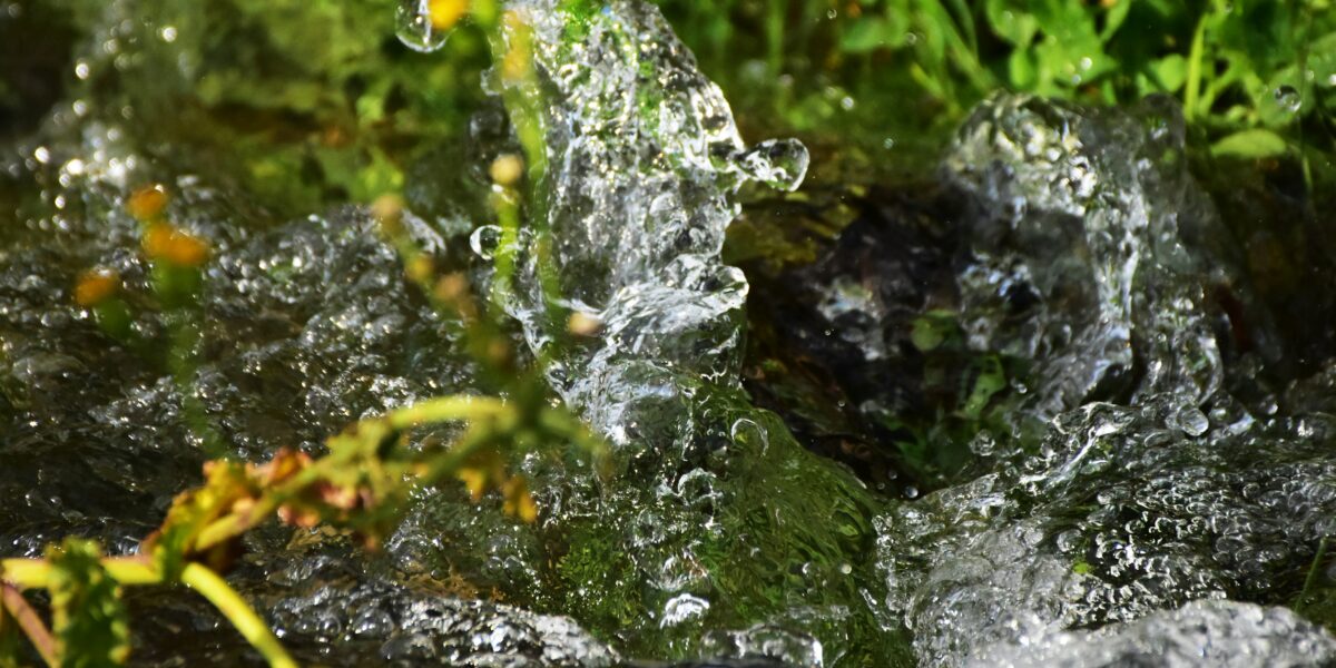 Clear stream water bubbles and splashes over mossy rocks, flowing past green grass and small yellow wildflowers. Close-up view captures sparkling droplets and movement, suggesting a wetland edge in bright sunlight.