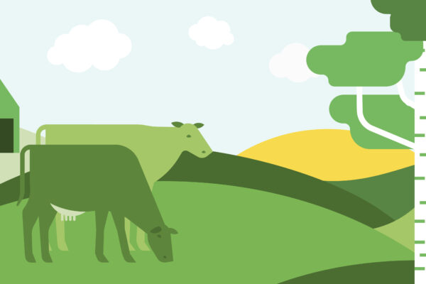 illustration med gröna och gula bågar som bildar ängar där kor går och betar. Träd och ladugård finns också i bild
