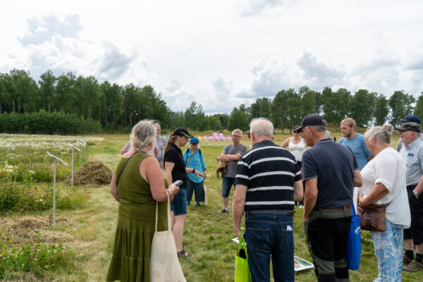 en grupp med människor på fätlvandring på Brunnby Gård
