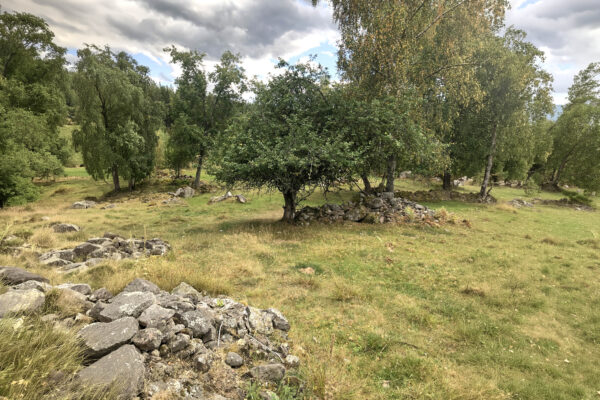 Landskap med låga träd och buskar står utspridda över en gräsig äng. Stenrösen och en låg stenmur löper i förgrunden, medan mörka moln hänger över en glimt av blå himmel.