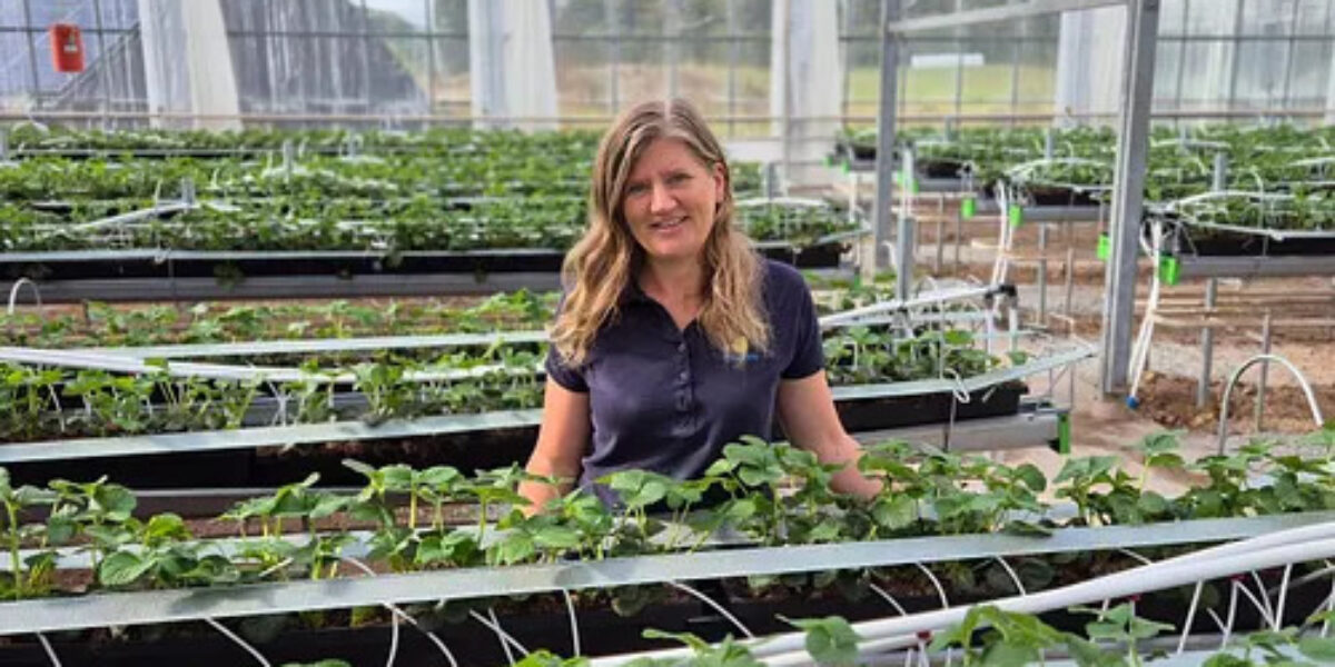 Kvinna står i ett växthus och håller händerna mot kanten av en odlingsränna, omgiven av långa rader av gröna plantor i jord. Metallskelett och glasväggar syns i bakgrunden.