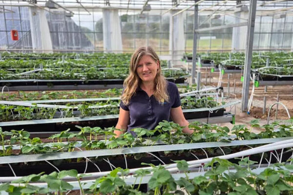 Kvinna står i ett växthus och håller händerna mot kanten av en odlingsränna, omgiven av långa rader av gröna plantor i jord. Metallskelett och glasväggar syns i bakgrunden.