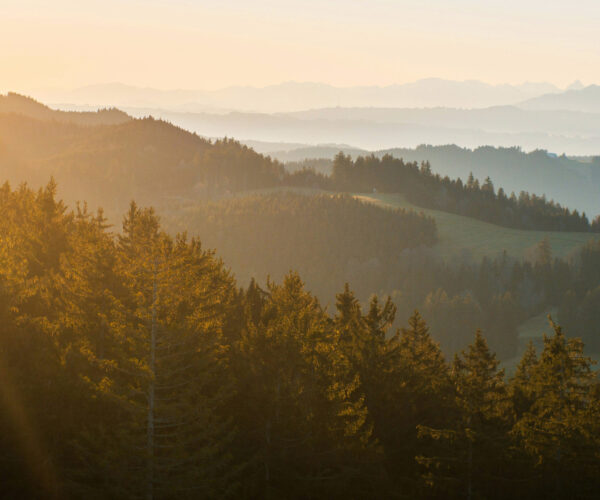 Solens gyllene strålar lyser över en skogsklädd ås och böljande kullar. Dimma ligger i dalarna och flera bergsryggar tonar fram i bakgrunden, vilket skapar ett lugnt, panoramiskt landskap i gryningsljus.