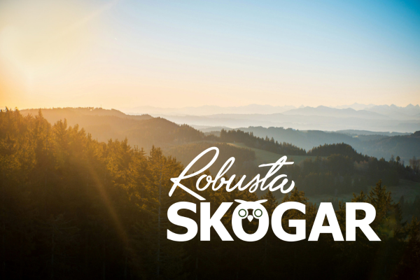 Skogsklädda kullar ligger i lager i morgondimma medan solen lyser in från vänster och färgar himlen gyllene. Över landskapet står texten “Robusta SKOGAR”, där O:et i SKOGAR är en kikare.