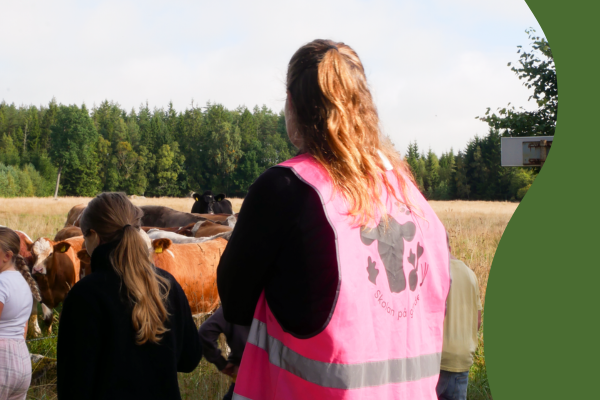 Kvinna i rosa reflexväst står med ryggen mot kameran och tittar på kor i en hage. Flera personer står bredvid i ett fält, med skog och ljus himmel i bakgrunden.