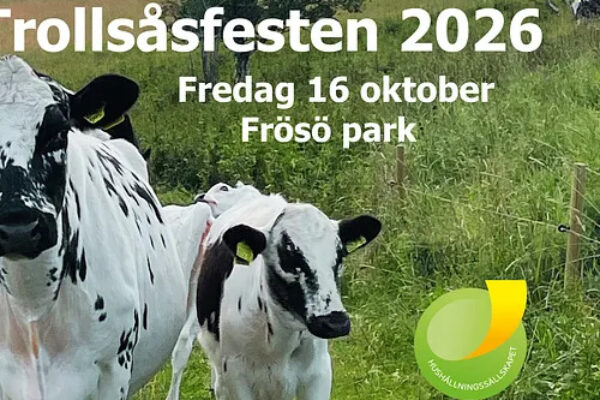 Två svartvita kor står i en grön hage vid ett stängsel med skog och åkrar i bakgrunden. Över bilden står texten: “Trollsåsfesten 2026”, “Fredag 16 oktober”, “Frösö park”, “Hushållningssällskapet”.