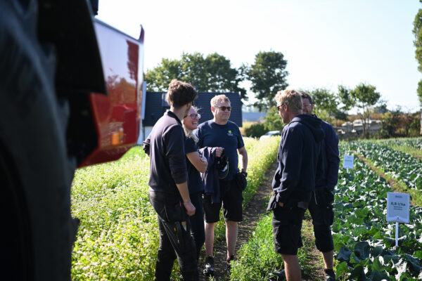 Fem personer står och samtalar på en gångstig mellan odlingsrader i ett fältförsök. Skyltar vid plantorna visar försöksrutor med texten ”Spektrum” och ”0,8 l/ha Spektrum (maxdos)”, i soligt landskap.