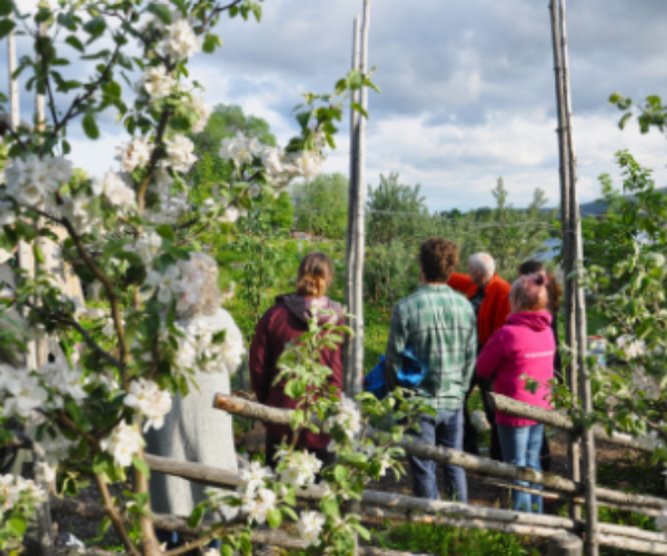 Fyra personer vandrar tillsammans på en smal stig i en blommande fruktodling, sedda bakifrån. De passerar ett lågt trästaket och omges av vita blommor, gröna träd och en molnig himmel.