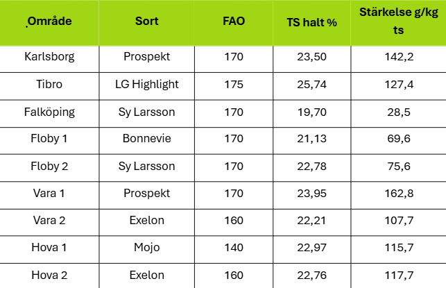 Tabell som sammanställer majsprognos 1 sept 2026 per område och sort, med kolumnerna: ”Område”, ”Sort”, ”FAO”, ”TS halt %”, ”Stärkelse g/kg ts”. Rader visar Karlsborg, Tibro, Falköping, Floby 1–2, Vara 1–2, Hova 1–2 med värden.