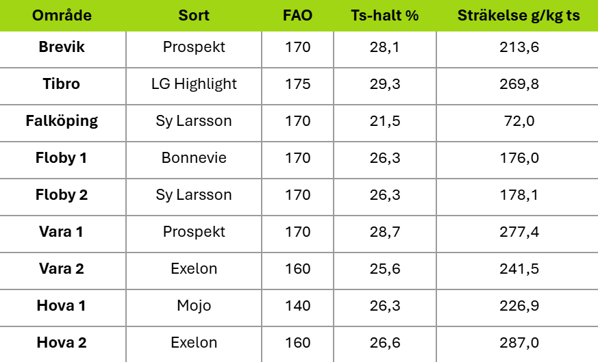 Tabell med majsprognos: kolumnerna ”Område”, ”Sort”, ”FAO”, ”Ts-halt %”, ”Stärkelse g/kg ts”. Rader: Brevik Prospekt 170 28,1 213,6; Tibro LG Highlight 175 29,3 269,8; Falköping Sy Larsson 170 21,5 72,0; Floby 1 Bonnevie 170 26,3 176,0; Floby 2 Sy Larsson 170 26,3 178,1; Vara 1 Prospekt 170 28,7 277,4; Vara 2 Exelon 160 25,6 241,5; Hova 1 Mojo 140 26,3 226,9; Hova 2 Exelon 160 26,6 287,0.
