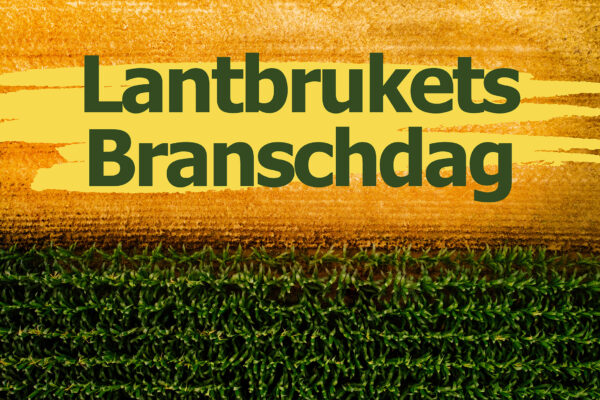 Flygoto över ett fält med majs och skördat fält med tydliga gränser. Lantbrukets Branschdag Hushållningssällskapet Kalmar Kronoberg Blekinge