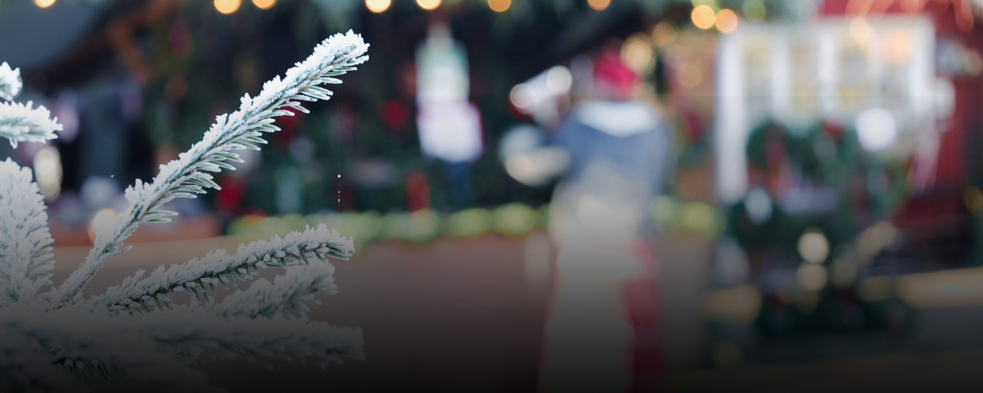 Julmarknad på Segerstad