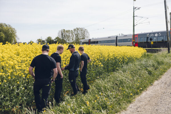 Fyra personer i svarta kläder promenerar och samtalar längs kanten av ett gult rapsfält, intill en grusväg. I bakgrunden passerar ett tåg på järnvägsspår med kontaktledningar.