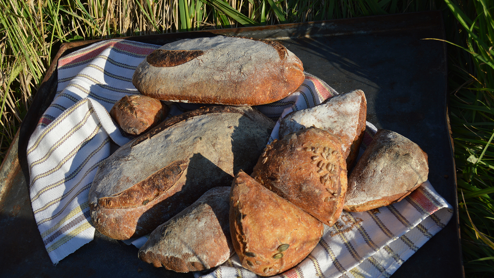 Flera nybakade brödlimpor och klyftor ligger staplade på en randig kökshandduk i en mörk bricka utomhus. Skorpig yta med mjölad topping och frön syns, omgivna av grönt gräs i solljus.